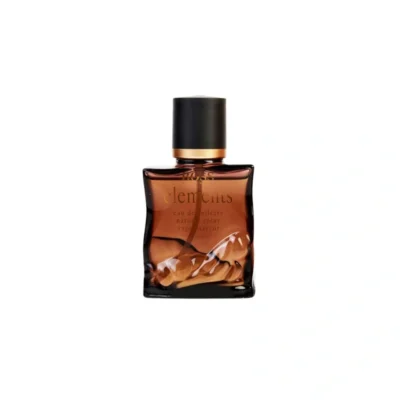 Boss Elements Hugo Boss 100ml parfum homme boisé aromatique